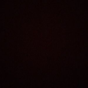 Meet your Posher, Bradley